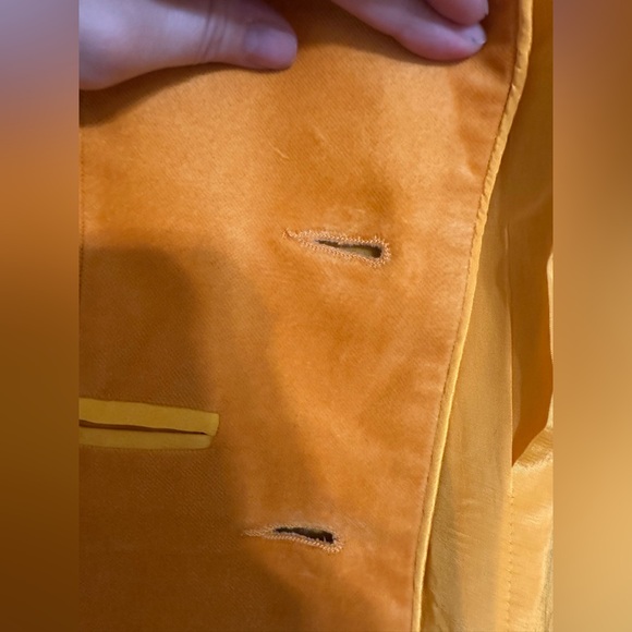 The Hippie Shake Moonage Daydream velvet blazer - Picture 10 of 14